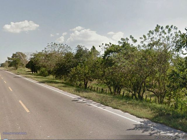 Lote-Cartagena-Mamonal-90