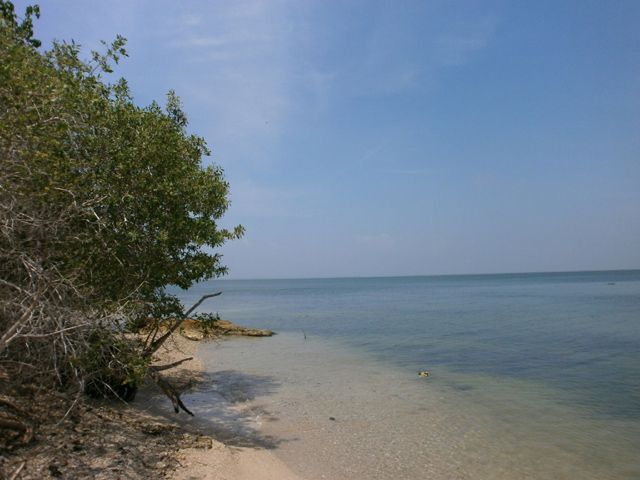 Lote-Cartagena-Barú-95