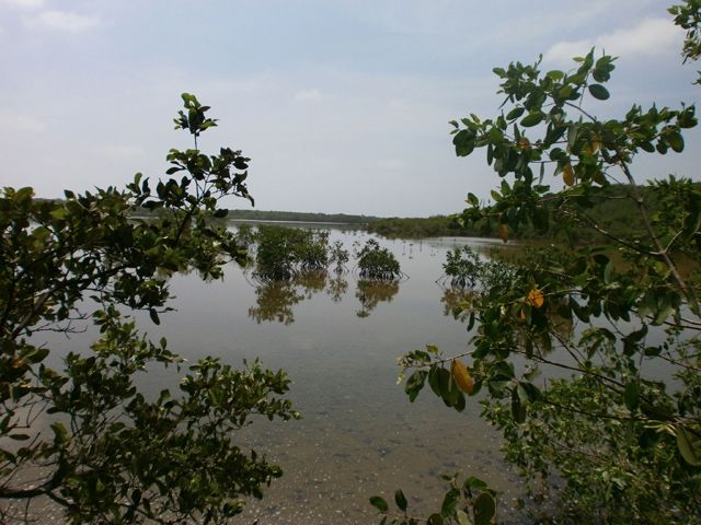 Lote-Cartagena-Barú-96