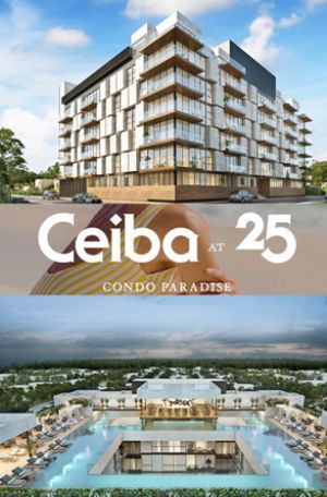 CEIBA AT 25