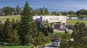 Render o imagen n&uacute;mero  3