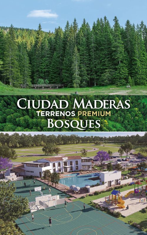 PROYECTO DE LOTES RESIDENCIALES&nbsp;BOSQUES