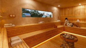 Render o imagen número  6