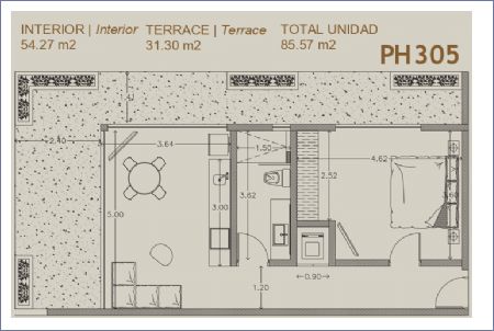 Imagen de Departamento PH 305 - CARPE DIEM