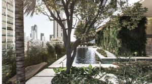 Render or image number  10