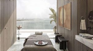 Render or image number  16