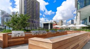 Render or image number  6