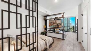 Render or image number  19