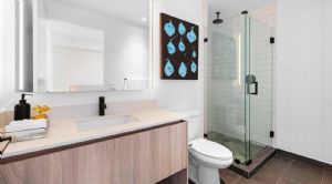 Render or image number  21