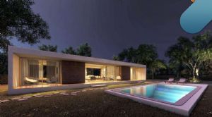 Render o imagen n&uacute;mero  10