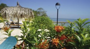 Render o imagen n&uacute;mero  16