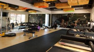 Render o imagen número  4