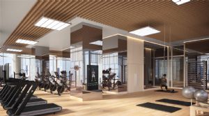 Render or image number  12