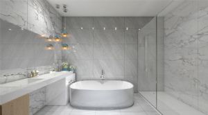 Render or image number  14