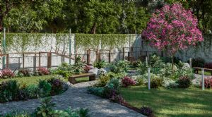 Render o imagen n&uacute;mero  10