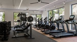 Render o imagen n&uacute;mero  14