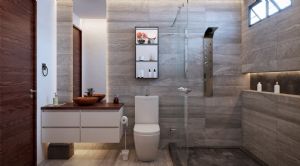 Render o imagen n&uacute;mero  12