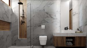 Render o imagen n&uacute;mero  11