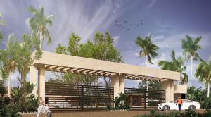 Render o imagen n&uacute;mero  12