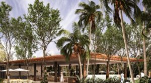 Render o imagen n&uacute;mero  16