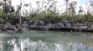 Render o imagen n&uacute;mero  19