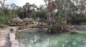 Render o imagen n&uacute;mero  20