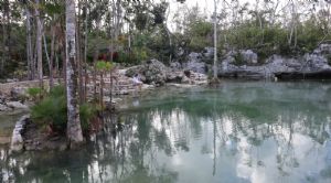 Render o imagen n&uacute;mero  21