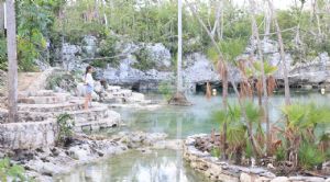 Render o imagen n&uacute;mero  22