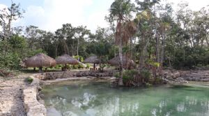 Render o imagen n&uacute;mero  23