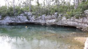 Render o imagen n&uacute;mero  24