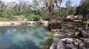 Render o imagen n&uacute;mero  27