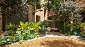 Render o imagen n&uacute;mero  21