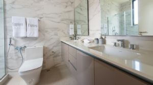 Render o imagen n&uacute;mero  11