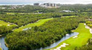 Render o imagen n&uacute;mero  12