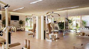 Render o imagen n&uacute;mero  7