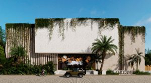 Render o imagen n&uacute;mero  2