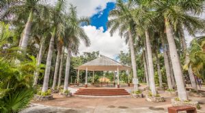 Render o imagen n&uacute;mero  6