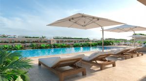 Render or image number  6