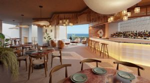 Render or image number  6