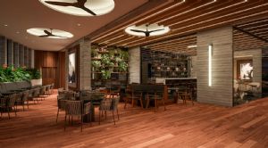 Render or image number  11