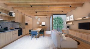 Render o imagen número  7