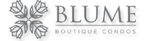 PROYECTO BLUME