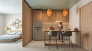 Render or image number  8