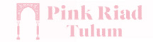 PROYECTO PINK RIAD