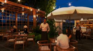 Render or image number  8