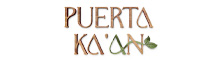 PROYECTO PUERTA KAAN