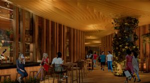 Render or image number  5