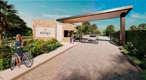 Render o imagen número  2