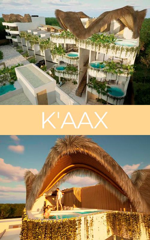 PROYECTO DE DEPARTAMENTOS KAAX