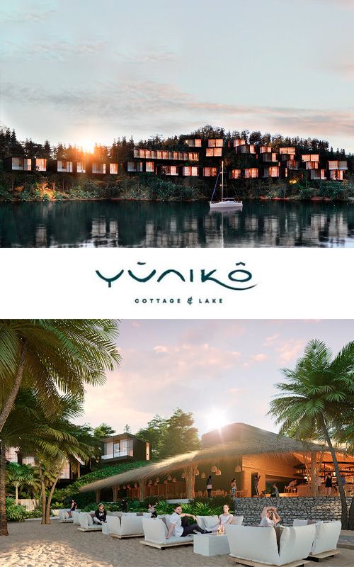 PROYECTO DE CASAS YUNIKO